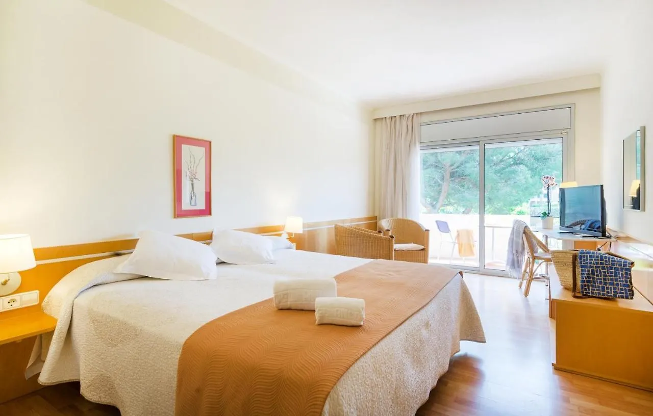 Hotel Ancora contacts
