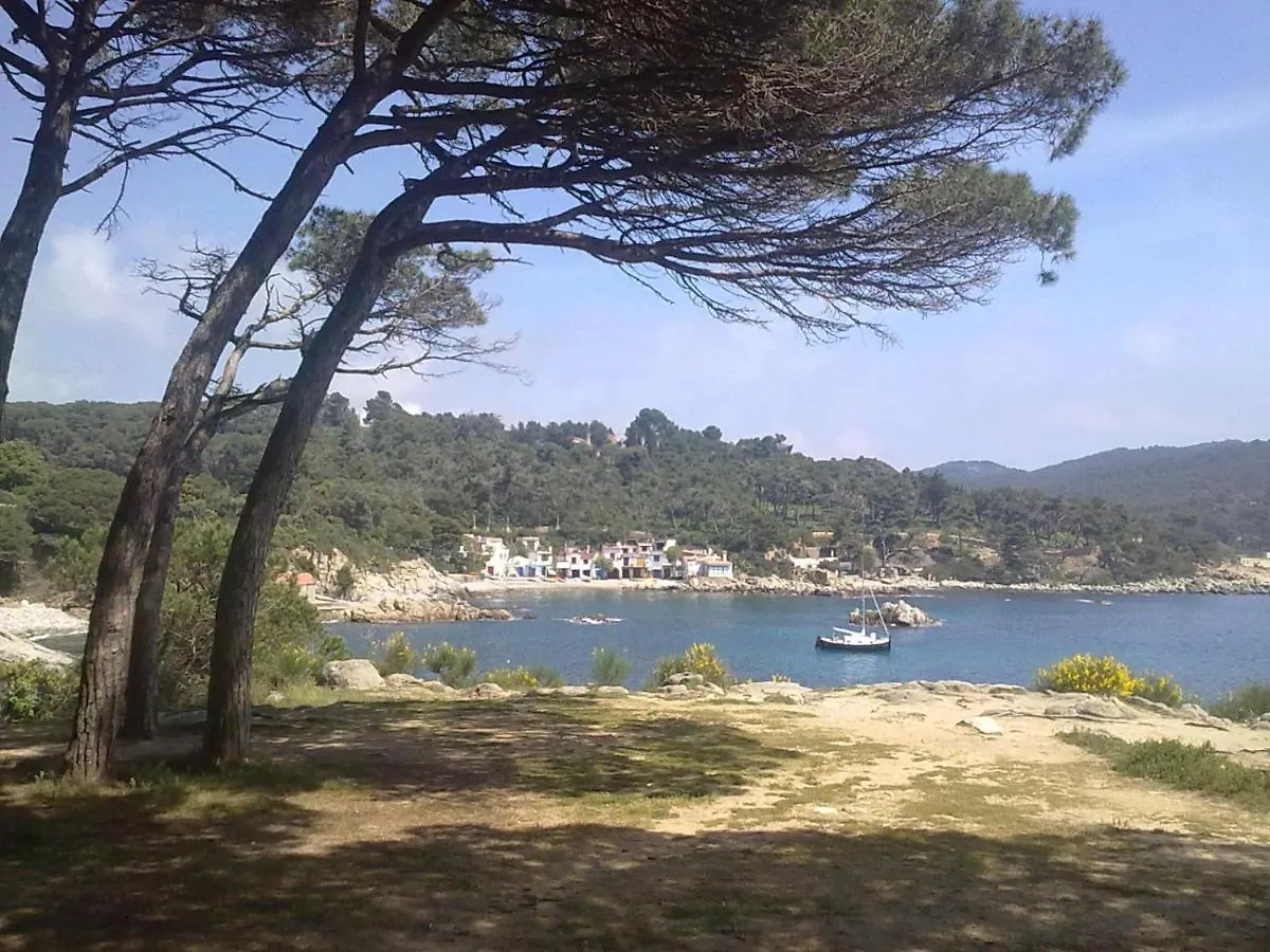 Hotel Ancora Palamos 3*,  Spain